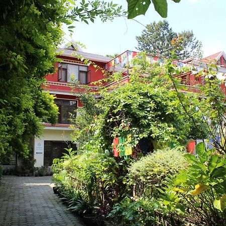 Rokpa Guest House Katmandu Zewnętrze zdjęcie